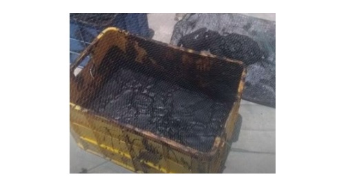 வறிய யெமென் மீனவர்க்கு கிடைத்த யோகம்