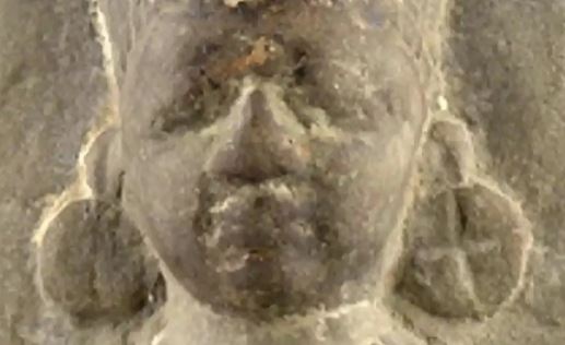 கனடாவிலிருந்து இந்தியா செல்கிறது அன்னபூர்ணா சிலை