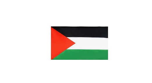 பலஸ்தீனர் நாட்டை பிரான்ஸ் ஏற்றுக்கொள்ளும்