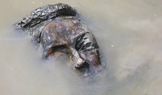 கனடாவில் ​இராணியின் சிலையும் உடைப்பு