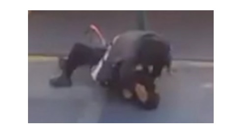 அமெரிக்காவில் சீன பெண் போலீஸ் மீதும் தாக்குதல்